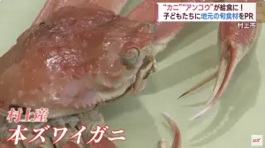 好享受！新潟縣中學營養午餐「1人1隻松葉蟹」　學生首嚐讚：感動
