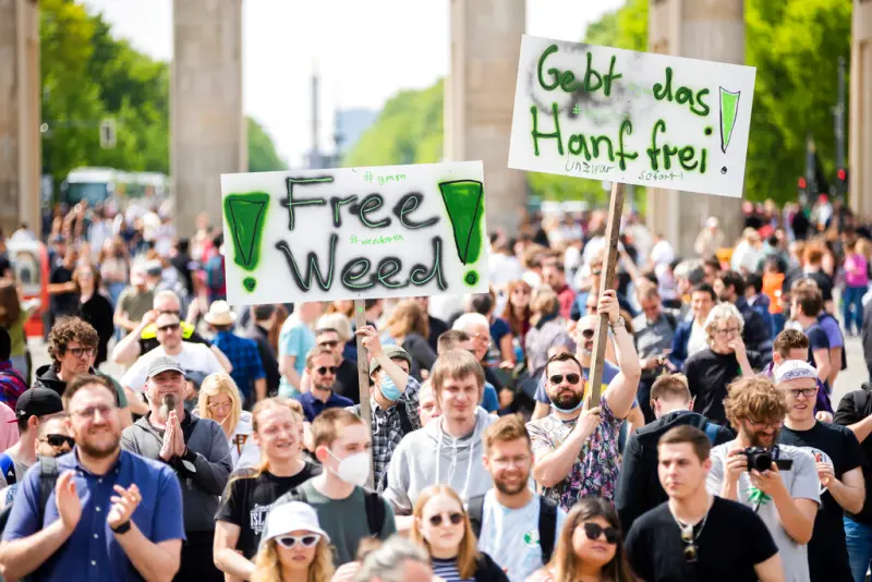 ▲德國聯合政府提出大麻合法化草案，如果這項法案在國會獲得通過，德國將成為歐洲大麻法律最自由的國家之一。（圖／美聯社／達志影像）