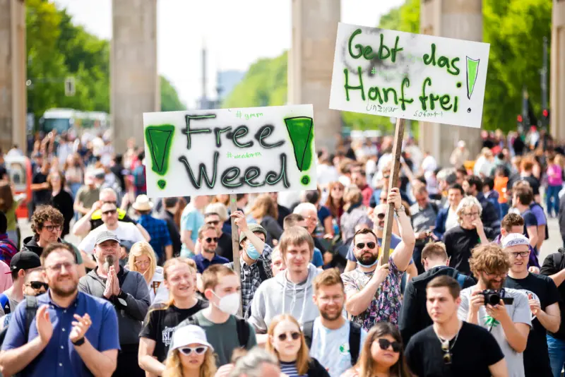 德國議會表決通過大麻合法化！新法案4月1日正式實施