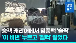 韓國機場搬運工是慣竊！「懶人密碼」偷開行李箱　得手900萬財物
