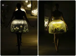 時裝秀「活蝴蝶」點綴裙裝挨轟！日本設計師道歉：以後不再使用
