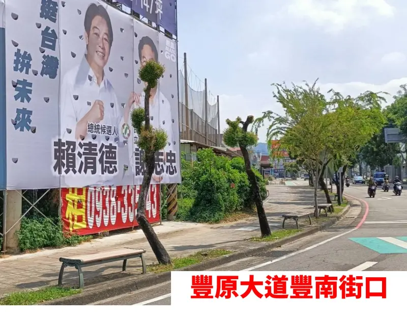 ▲黃健豪指豐原兩棵路樹因賴清德看板禿了頭。(圖/黃健豪提供,2023.11.09)