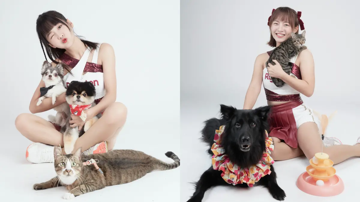 ▲籃籃（左圖）率領十元（右圖）等樂天女孩們一同做公益為浪浪發聲，希望替牠們找到溫暖的家，結果大家一聽到浪浪的身世後都哭了。（圖／財團法人流浪動物之家基金會提供）