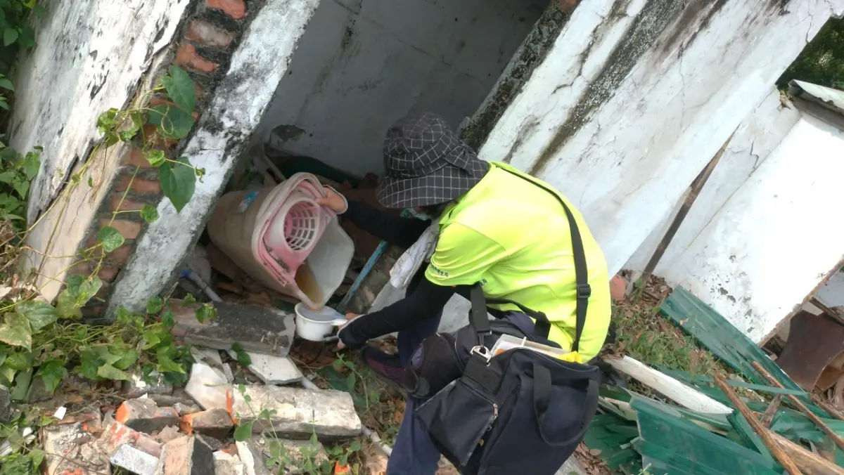 ▲衛生局提醒，埃及斑蚊喜好棲息室內且與習性人一樣怕冷怕熱，入秋立冬後戶外早晚氣溫下降，也會往室內或堆積物躲藏取暖而增加與人接觸機會，家庭群聚感染風險增加。（圖／高市府提供）