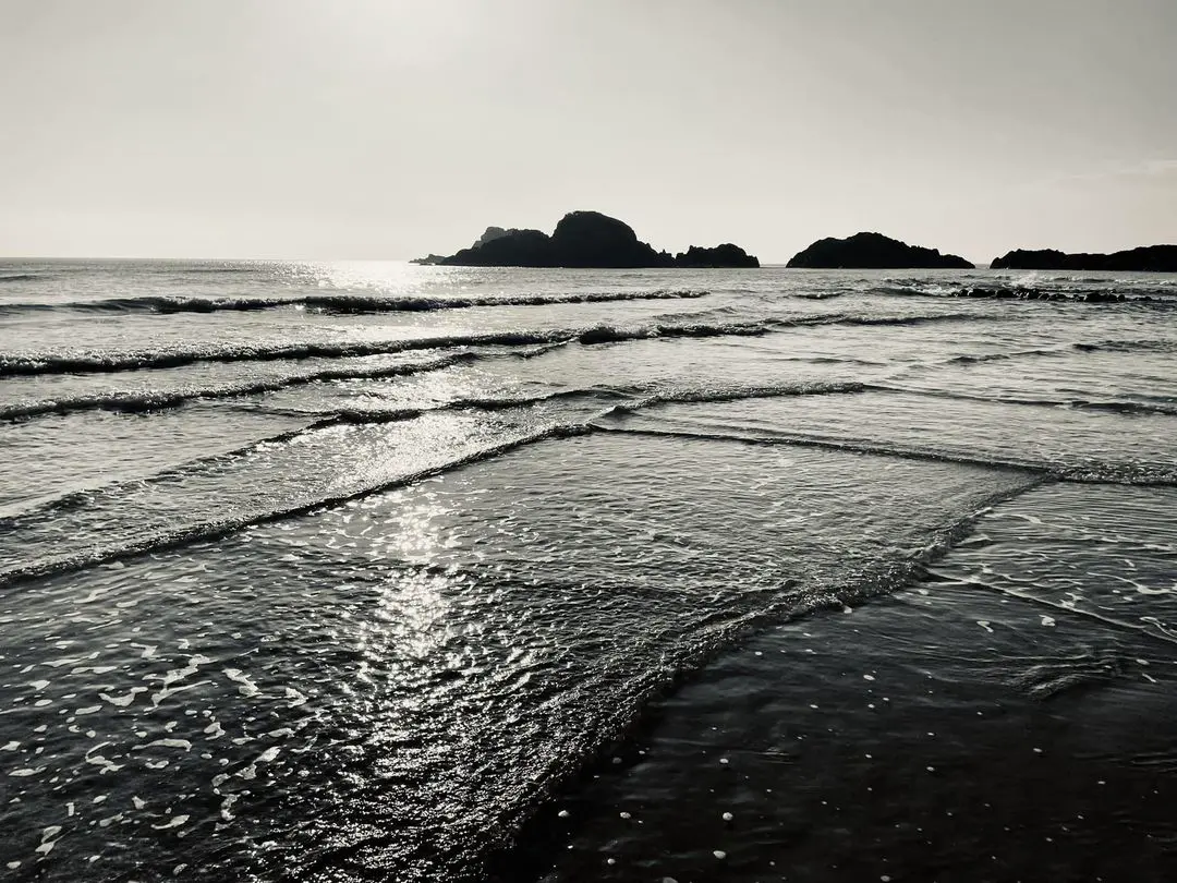 ▲「最美方塊海攝影」專業評審獲獎名單揭曉，金獎由蘇慈容的作品「格」拿下。（圖／主辦單位提供）