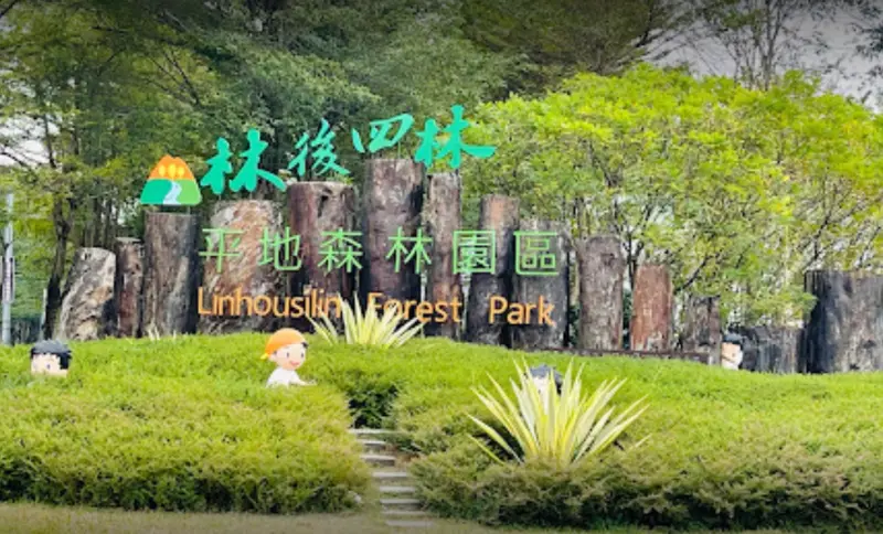▲目前台灣最夯的景點是位於屏東的「林後四林平地森林園區」，單月觀光人次就衝破86萬！（圖/林後四林平地森林園區Google評價）