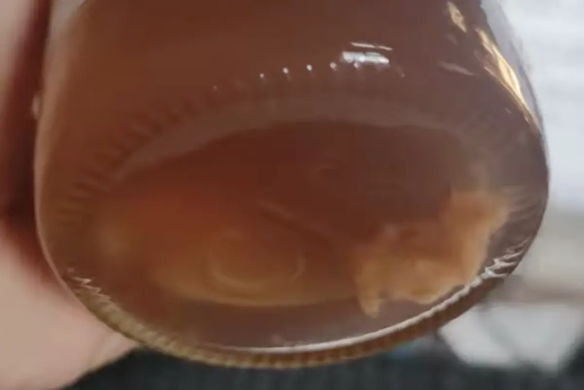 ▲原PO到好市多購入康普茶，喝了一口卻發現瓶中都是沉澱物在漂浮，讓他當下嚇到直接吐出來。（圖／翻攝自臉書社團「Costco好市多 商品經驗老實說」）