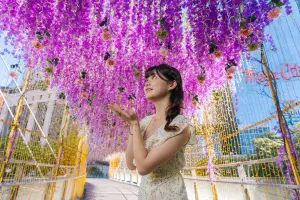 2023新北耶誕城11/17板橋點燈!演唱會時間 白爛貓、薑餅人超閃 ▲與大遠百相接的新站路天橋「紫藤精靈光廊」,打造充滿粉紫色花海的浪漫氛圍。(圖/新北市政府提供)
