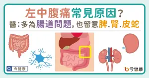 左中腹痛常見原因？醫：多為腸道問題，也留意脾、腎、皮蛇。
