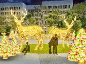 此次府中廣場亦有燈區,主題為薑餅樂園,其中的金色魔法森林相當絢爛迷人。(圖/取自新北歡樂耶誕城官網) ▲此次府中廣場亦有燈區,主題為薑餅樂園,其中的金色魔法森林相當絢爛迷人。(圖/取自新北歡樂耶誕城官網)