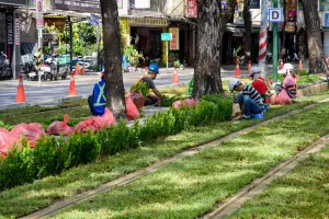 ▲輕軌行駛在一片綠色地毯上，更增添城市景觀風貌。（圖／高市府捷運局提供）