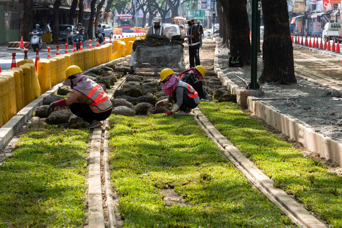 ▲大順路段再增添綠意，捷運施工團隊陸續在輕軌路廊種植草皮及綠籬。（圖／高市府捷運局提供）