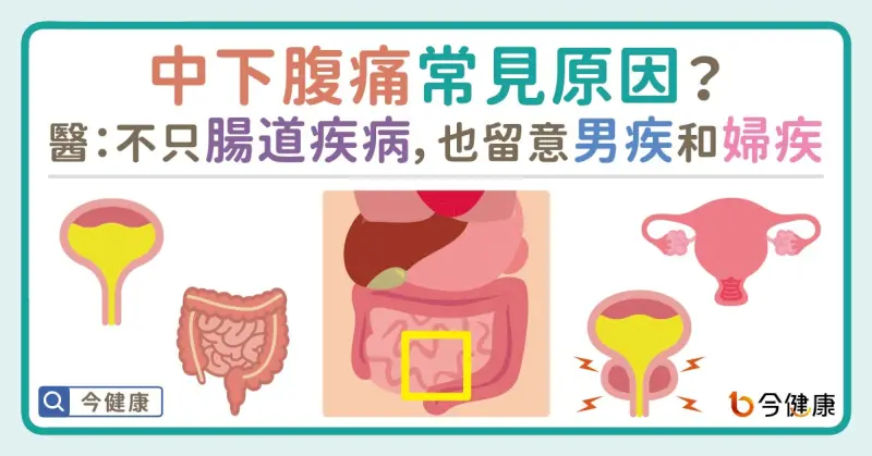 ▲中下腹痛常見原因？醫：不只腸道疾病，也留意男疾和婦疾。