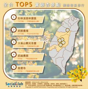 ▲台灣5大熱門銀杏景點。（圖／Social Lab社群實驗室提供）