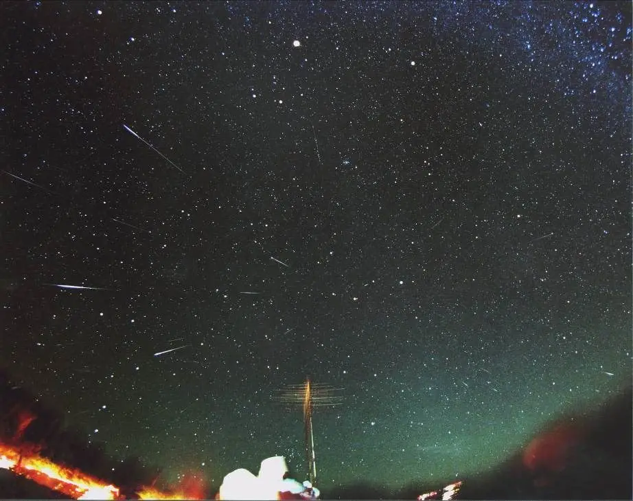 ▲獅子座流星雨將於今11月18日（周六）達到極大期，預計每小時天頂流星數約為10至15顆。（圖／台北市立天文館）