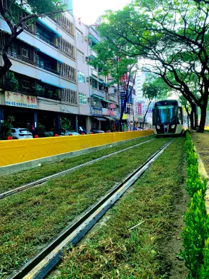 ▲輕軌路廊更遍植綠草與樹籬，增添上下輝映色彩。（圖／高市府捷運局提供）