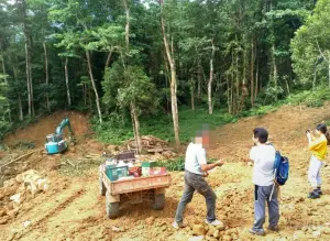 苗栗南庄遭大規模濫墾！無人機空拍蒐證　警逮男子盜伐林木變賣
