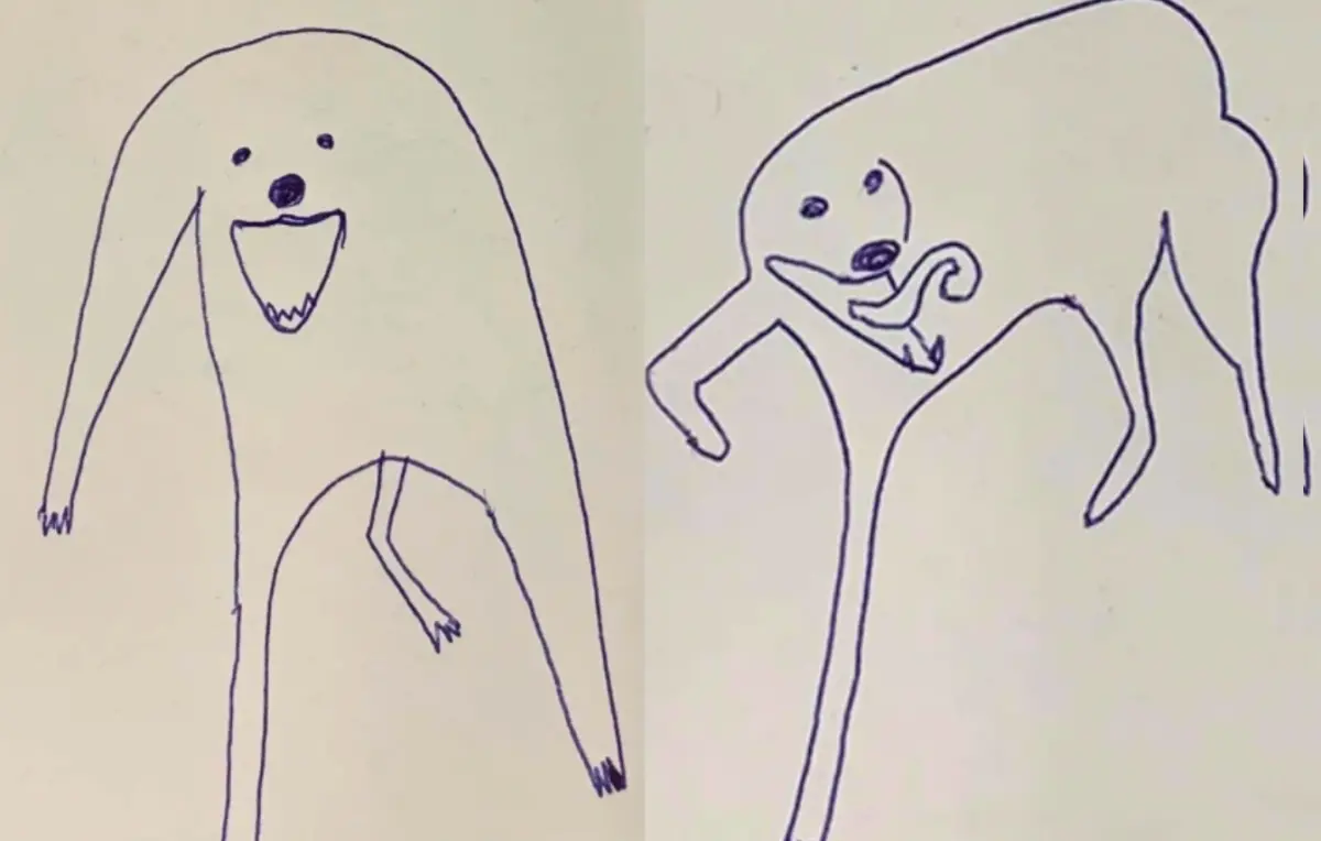 ▲國外一名插畫家快速畫下家中狗狗爆笑時刻，結果原本以為是隨便亂畫，沒想到照片中狗狗真的長這樣，笑翻不少人。 (圖/臉書粉專＠Flat Dog Doodles)