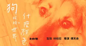 ▲林柏宏籌備中的新作品《狗的眼睛裡世界是什麼顏色》。(圖/金馬執委會) ▲林柏宏籌備中的新作品《狗的眼睛裡世界是什麼顏色》。(圖/金馬執委會)
