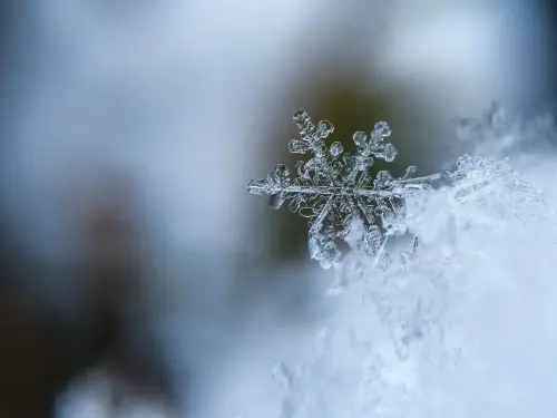 ▲小雪節氣2023將至，運氣很背的人快把握節氣開運，並可多吃「黑色食物」。（圖／取自Unsplash）