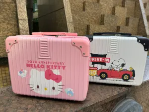 499元15吋硬殼手提箱,可手提或掛置行李箱。(圖/記者鍾怡婷攝) ▲499元15吋硬殼手提箱,可手提或掛置行李箱。(圖/記者鍾怡婷攝)