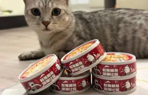 ▲貓咪罐頭雖然人們可以吃,但不能夠大量且當作主食哦!(圖/NOWnews資料照) ▲貓咪罐頭雖然人們可以吃,但不能夠大量且當作主食哦!(圖/NOWnews資料照)