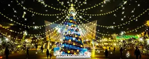 迎接2024高雄聖誕跨年　20公尺聖誕樹揭序幕7千發花火跨年
