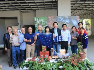 台灣咖啡亮起來 2次發酵突破  成大微生物團隊發表東山舞姬咖啡
