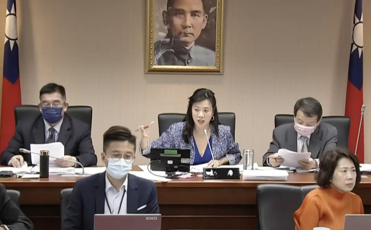 ▲民眾黨立委吳欣盈今（23）日擔任立法院衛環委員會召委，審議民眾黨立院黨團提案的《數位醫療發展條例》，雖幾乎全數條文保留，但仍宣布送出委員會。（圖／取自立院直播）