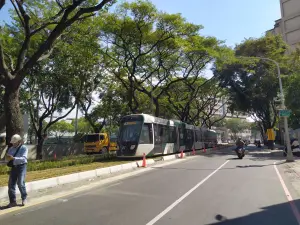 ▲高雄輕軌C24至C32路段保留雨豆樹綠蔭隧道，輕軌路廊更遍植綠草與樹籬，增添上下輝映色彩。（圖／高市府捷運局提供）