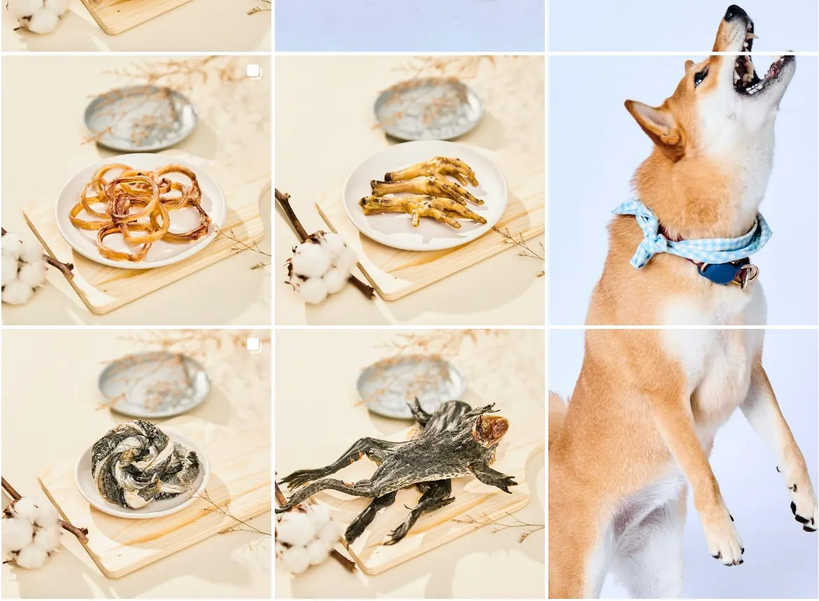 ▲台北寵物展驚見「原型」狗狗零食，整隻虎斑青蛙乾屍。（圖／翻攝IG@mr.dabao）