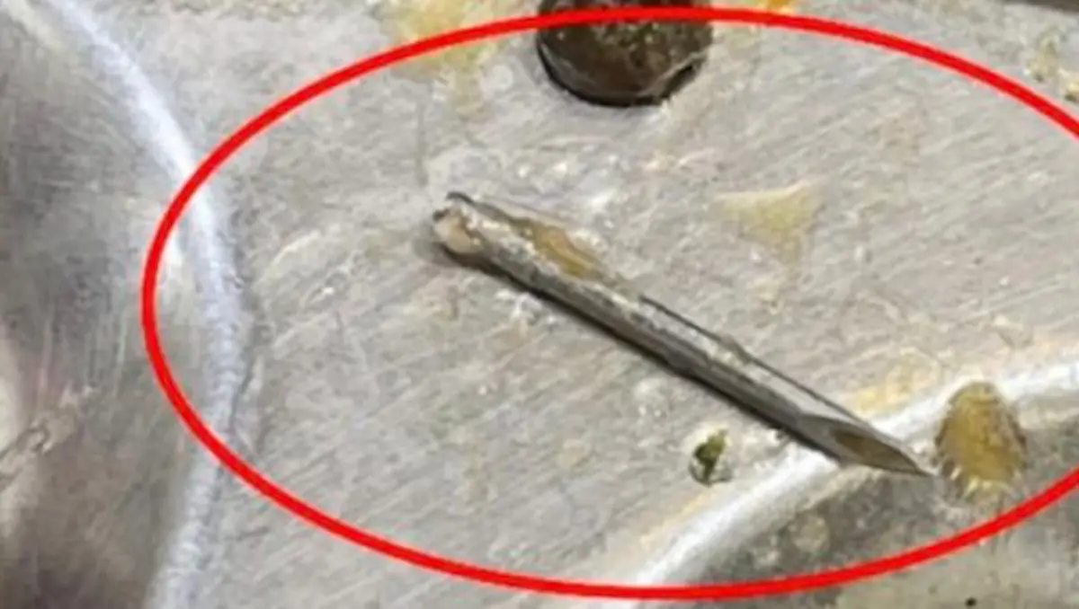 ▲中國日前有位上海交大的學生抱怨，在學生餐廳用餐時，竟然吃到1.5公分的針頭，引發熱議。（圖／翻攝自九派新聞）