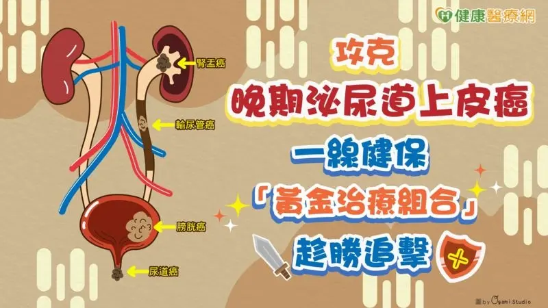 ▲攻克晚期泌尿道上皮癌　一線健保「黃金治療組合」趁勝追擊