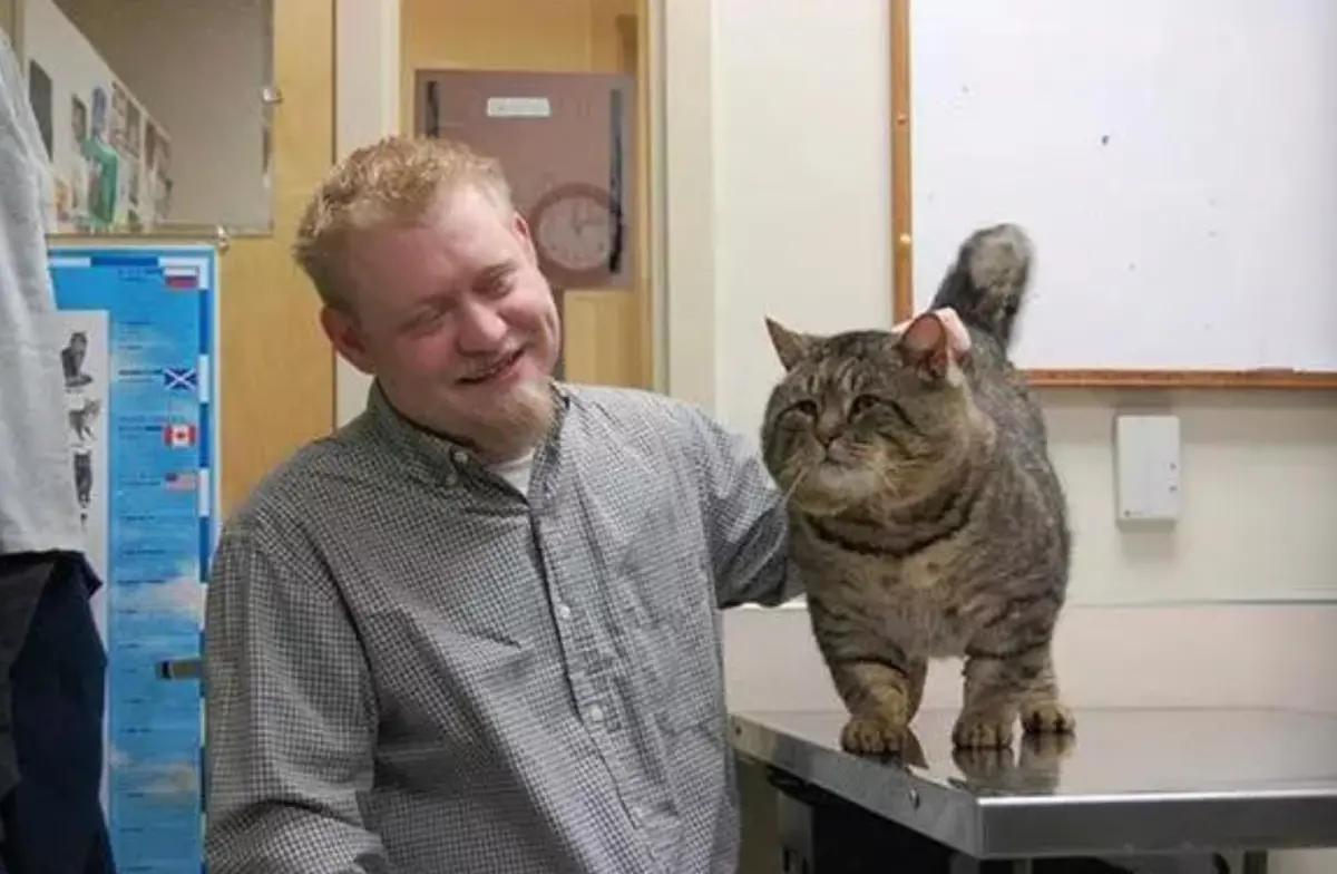 ▲一隻有份量的喵星人竟然是在外流浪半年的成果，讓主人哭笑不得，原本淚眼汪汪重逢局面，變得十分搞笑。（圖/萌寵集中營）