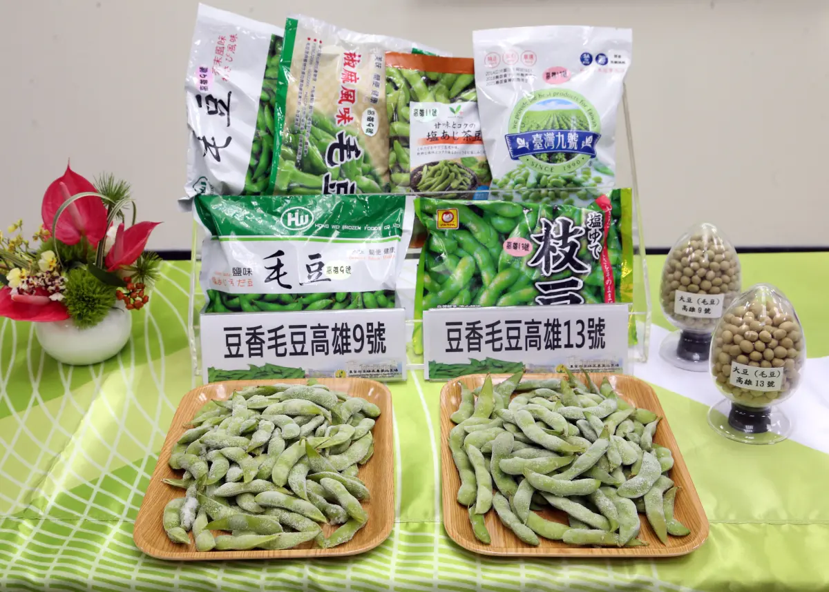 ▲農業部高雄區農業改良場（高雄農改場）育成質優、豐產之毛豆新品種高雄13號，商品名稱為「綠水晶」。（圖／農業部提供）