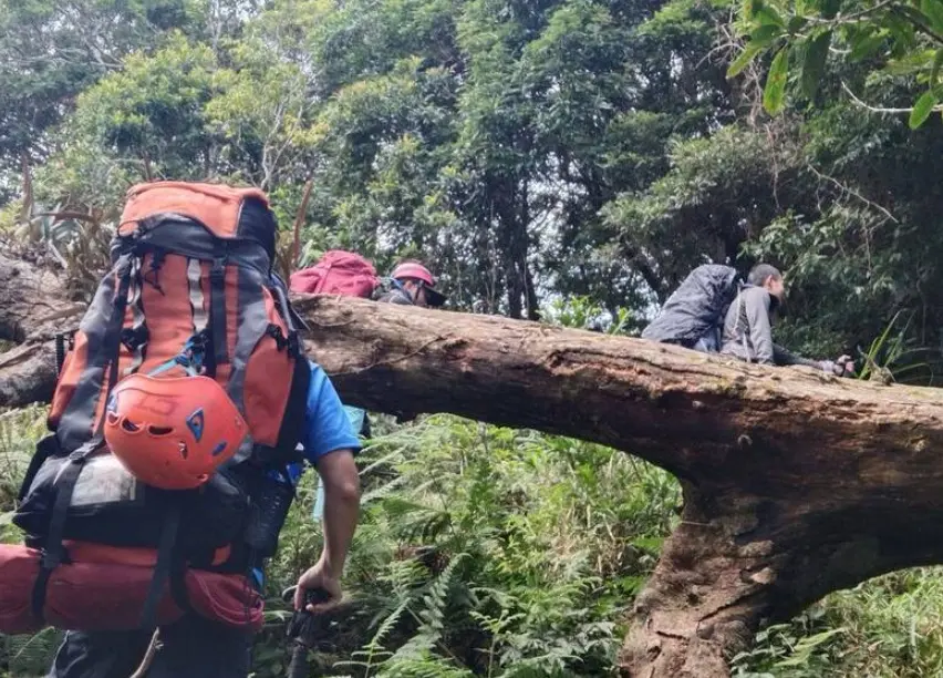 ▲來台觀光的2名法國登山客，23日前往屏東縣霧台鄉霧頭山登山失聯，警消搜救行動今天進入第3天，同時申請直升機空中搜尋。（圖／翻攝畫面）