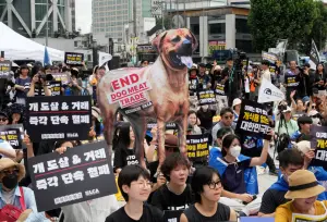 ▲韓國國會要立法禁止賣狗肉。圖為韓國動物權益運動人士聚集在首爾抗議，反對吃狗肉文化。（圖／美聯社／達志影像）