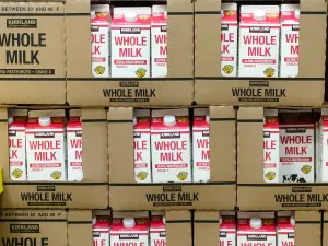 紐奶襲台3／進口鮮乳效期長達90天　酪農抗議「這叫保久乳」
