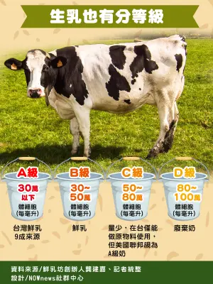 ▲台灣因高溫潮濕，對生乳品質要求嚴格，絲毫不遜於日本鮮乳。（圖／NOWnews製表）