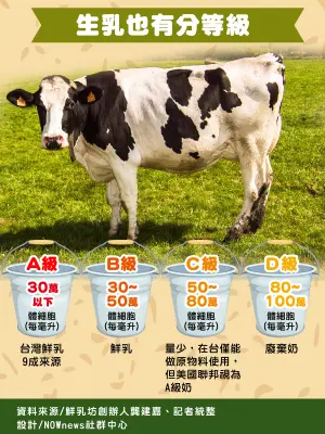 台灣因高溫潮濕,對生乳品質要求嚴格,絲毫不遜於日本鮮乳。(圖/NOWnews製表) ▲台灣因高溫潮濕,對生乳品質要求嚴格,絲毫不遜於日本鮮乳。(圖/NOWnews製表)