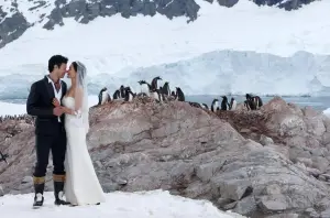 ▲▼Janet（左）、George南極拍婚紗照，阿德利企鵝、冰川成為天然布景。（圖／翻攝自Janet臉書）
