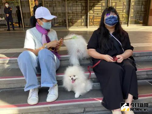 張小姐 Micky 北檢傳喚飼主 博美狗 王姓獸醫 毀損 偽造文書 ▲聲援張小姐的飼主們(圖/記者潘千詩攝,2023.11.28)
