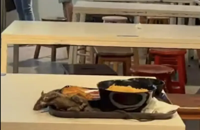 ▲新加坡百貨公司的美食廣場的餐盤上出現一隻活老鼠，嚇壞民眾。（圖／翻攝自影片）