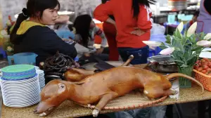 越南,狗肉 ▲越南街頭的烤全狗料理。(圖/翻攝自The World)