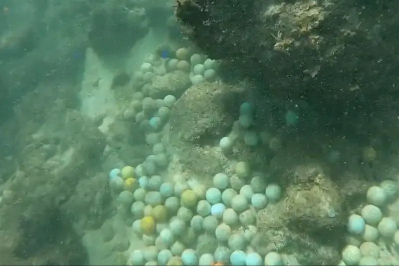 ▲沖繩離島宮古島，近來被當地居民發現有大量的高爾夫球堆積在海底引發外界疑慮，擔心可能會釋放出有毒物質，造成海洋污染。（圖／翻攝自@a4444888的X）