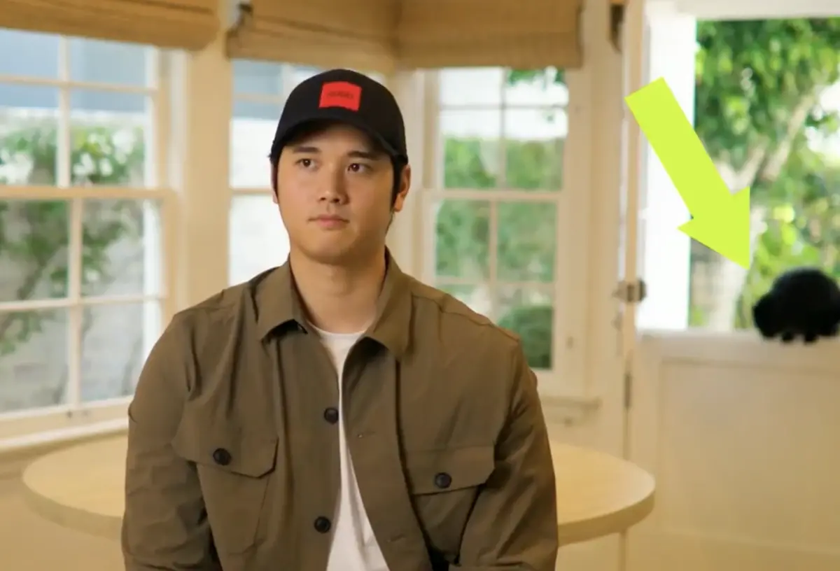 ▲大聯盟官方社群帳號釋出大谷翔平14秒採訪片段，大谷翔平在影片中和可愛黑色貓貓互動，溫柔的模樣再度引起外界熱議。 （圖／翻攝自大聯盟官方推特）