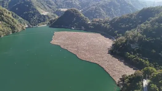 ▲蔡嘉陽博士還曬出5天前的霧社水庫畫面，只見水面上仍堆積整片長條形漂流木，沒想到經過短短幾天水流變化，整片漂流木的造型就發生變化。（圖／翻攝自蔡嘉陽臉書）