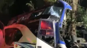 逾14人死亡！泰國「夜間巴士」撞樹釀慘重車禍　共35人受傷
