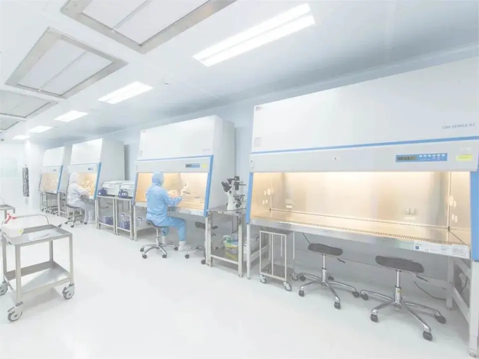 ▲仲恩生醫宣布，日前遞交的公開發行案已獲櫃買中心正式核准，於今（5）日申報生效，正式成為公開發行公司，預計明年第一季登錄興櫃。（圖／仲恩生醫）