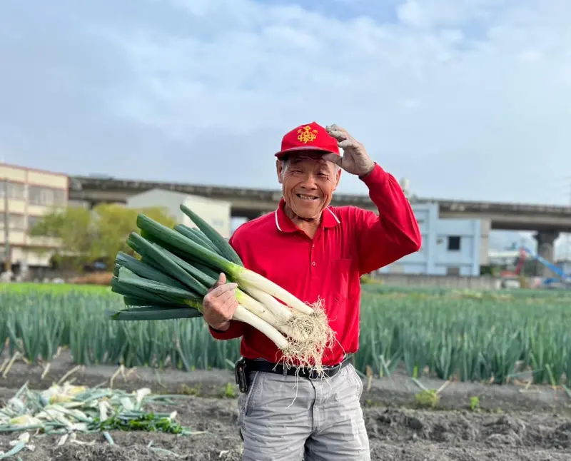 ▲台中豐原是全台大蔥最大產區之一，為推廣農特產品及當季美味，將北上到新北市板橋區農會超市前廣場辦理推廣及展售活動。（圖 ／新北市政府農業局提供）